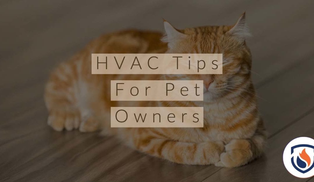 HVAC Maintenance For Pet Owners