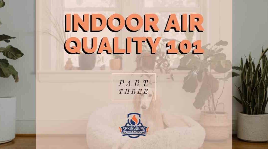 Indoor Air Quality 101 – Part 3: Products & Services We Offer to Improve Your Indoor Air Quality?